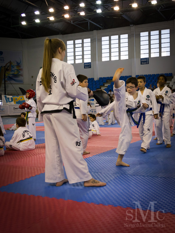 DIA DEL TAEKWONDO ABRIL 2017_3693.JPG